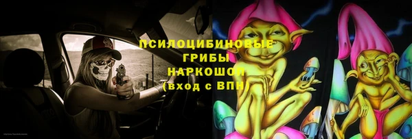 прущая мука Гусиноозёрск