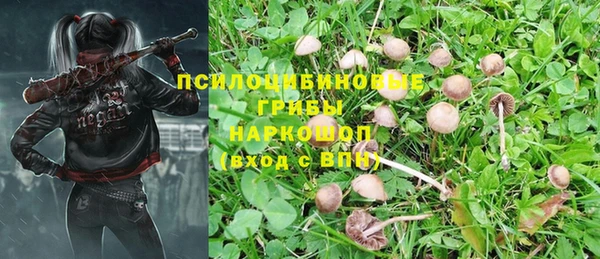 прущие крисы Михайлов