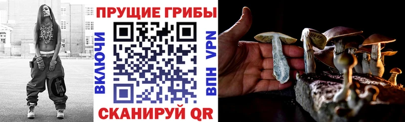 купить  сайты  Лебедянь  МЕГА зеркало  Псилоцибиновые грибы Psilocybe 